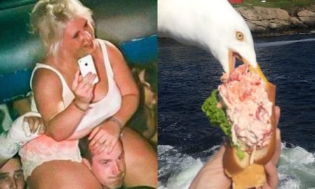 Lesson Learned Hard Way Funny Pictures Photos Images Mistakes